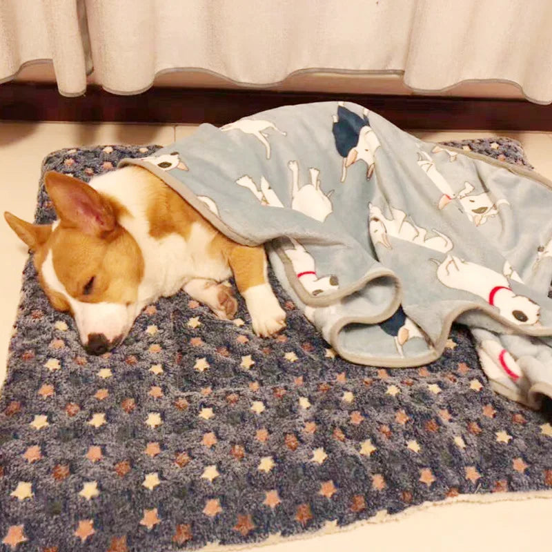 Flannel Thickened Pet Bed Mat – Soft Winter Sleeping Blanket for Dogs & Cats