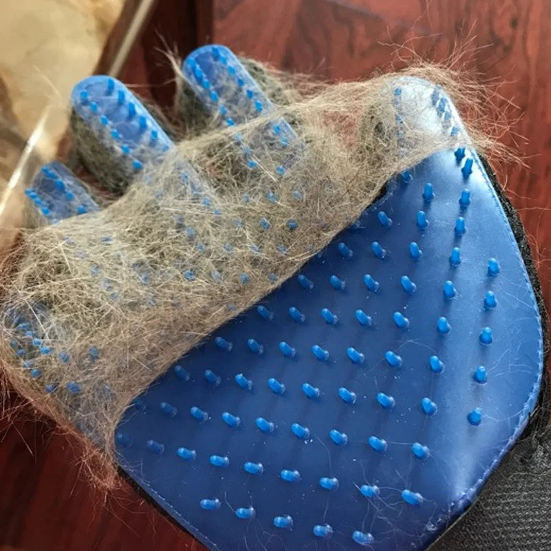 Pet Hair Remover Glove – Grooming & Massage Brush for Cats/Dogs - Paw Nap Studios